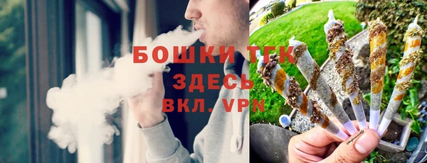 прущие грибы Алексин