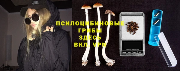 прущие грибы Алексин