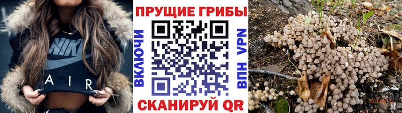 Галлюциногенные грибы ЛСД  Инсар 